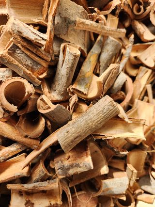 김승태님의 작성글 사진