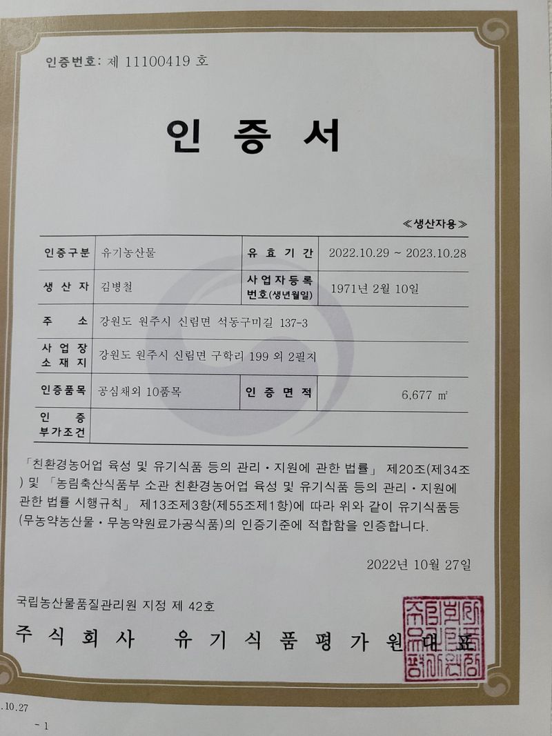 산골아낙네님의 장터 판매 상품 [유기농포기상추1kg] 첨부 사진