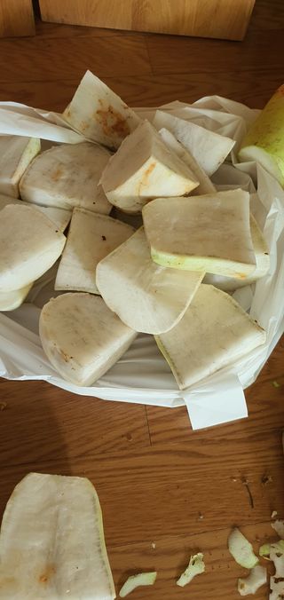 햇살님의 기타작물 · 병해충상담 작성글 사진