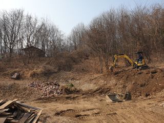 머치자연인님의 두릅 · 일상 작성글 사진
