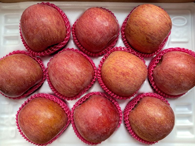 장터 상품 [[판매중단] 선물세트 부사사과 (특대)  10과 ㅡ무료배송 ] 썸네일