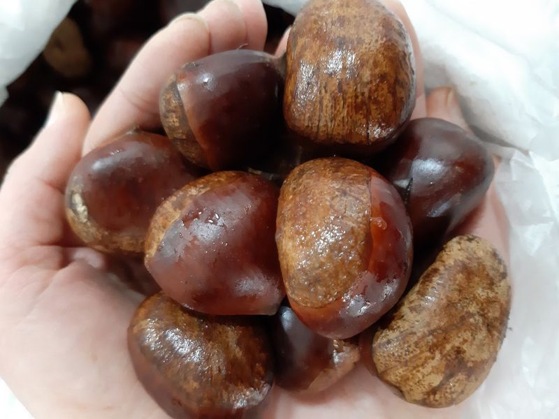 장터 상품 [[판매중단] 공주정안 알밤 (특대)  판매합니다 ] 썸네일