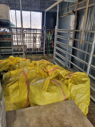 이호성님의 두릅 · 품종•종자 작성글 사진