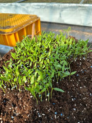 김성미님의 작성글 사진