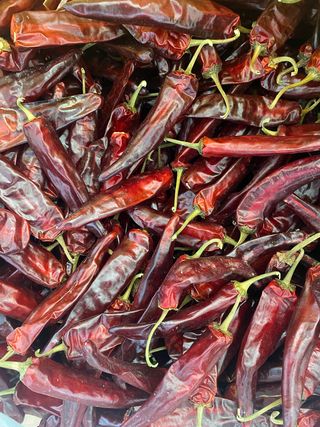 김성미님의 작성글 사진