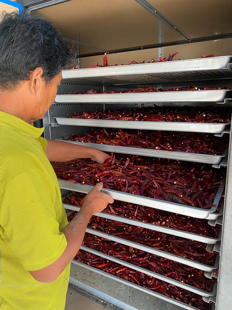 김성미님의 장터 판매 상품 [직접 농사지은 해썹인증받은 고춧가루 판매] 첨부 사진