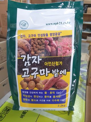 한농농약종묘사님의 감자 · 자유게시판 작성글 사진