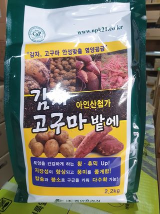 한농농약종묘사님의 감자 · 자유게시판 작성글 사진