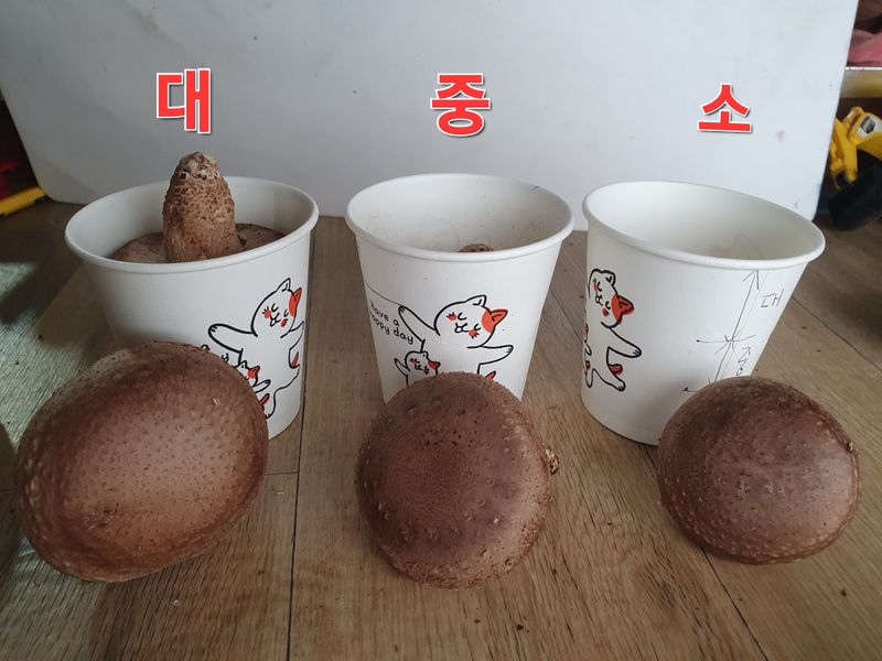 장계령님의 장터 판매 상품 [무농약 표고버섯가정용(모난이)  1kg] 첨부 사진