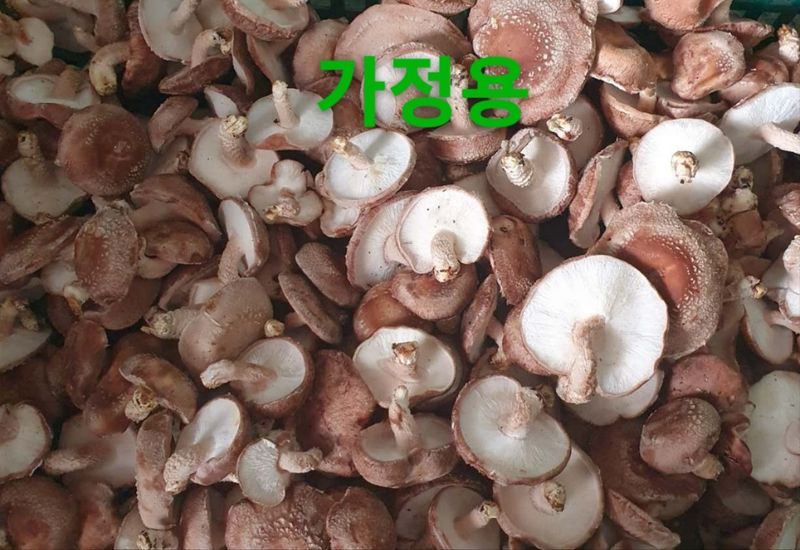 장계령님의 장터 판매 상품 [무농약 표고버섯가정용(모난이)  1kg] 첨부 사진