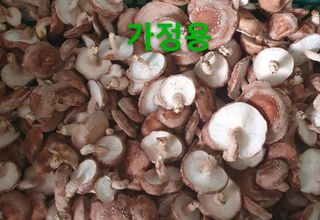 장계령님의 작성글 사진