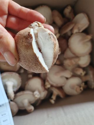 장계령님의 작성글 사진