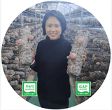 팜모닝 · 게시글 이미지