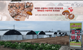 장계령님의 작성글 사진