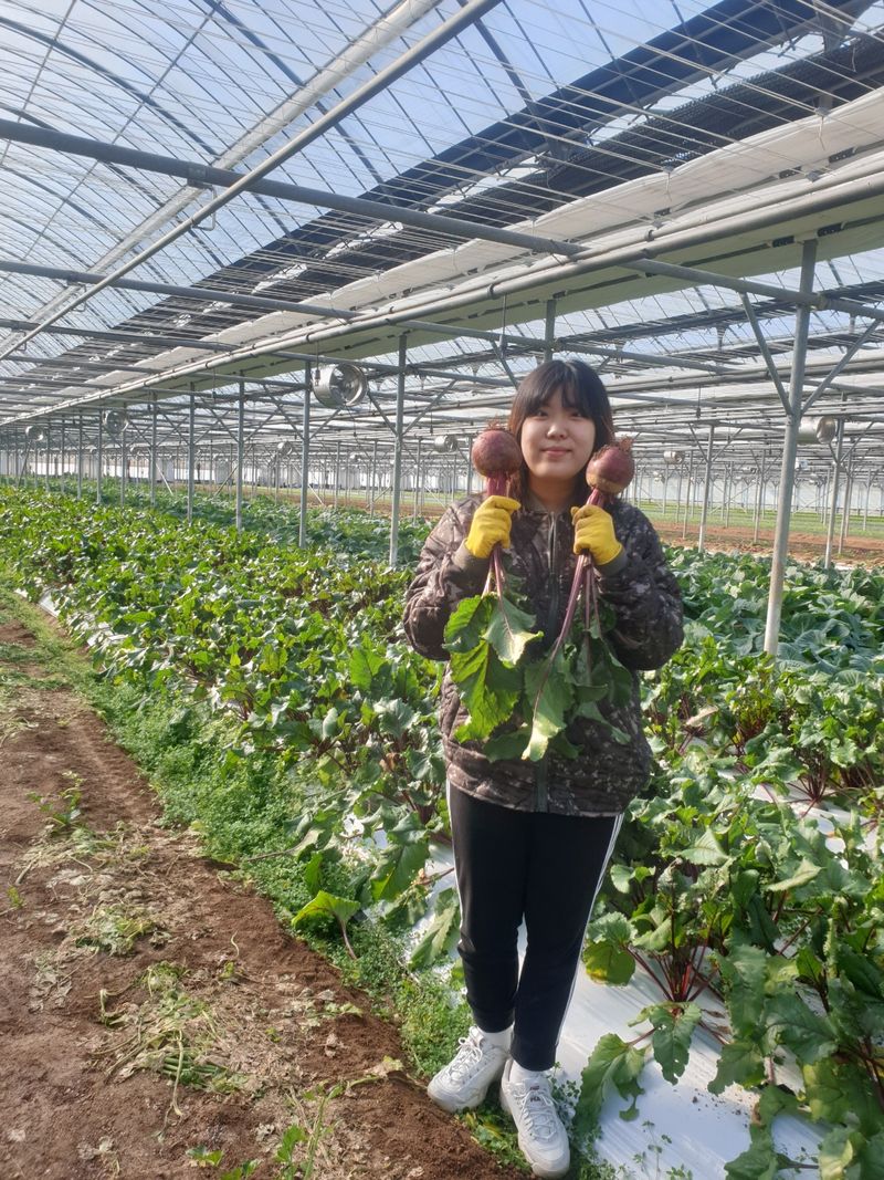 장터 상품 [덕성농장 <비트>] 썸네일