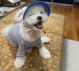 팜모닝 기타작물·자유게시판 게시글 이미지