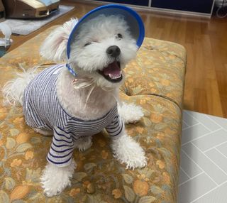 갱낸 갱얼쥐님의 기타작물 · 자유게시판 작성글 사진