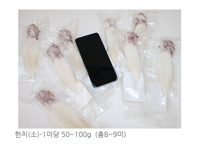 고씨네수산님의 장터 판매 상품 [제주 손질 한치 700g내외] 첨부 사진