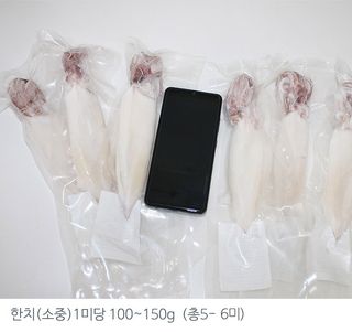 고씨네수산님의 작성글 사진