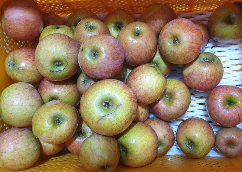 호랑이와인성이님의 장터 판매 상품 [봉화미안마부사쥬스용 10kg] 첨부 사진