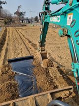 팜모닝 감자·자유게시판 게시글 이미지