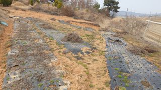 김영준님의 작성글 사진