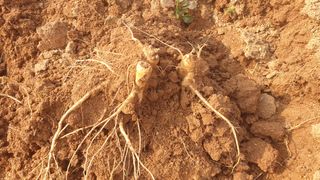 김영준님의 작성글 사진