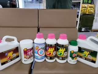 대산농사대장님의 작성글 사진