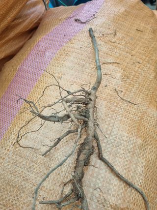 이호성님의 기타작물 · 자유게시판 작성글 사진