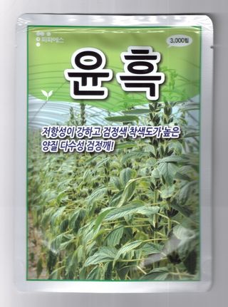 대산농사대장님의 참깨 · 자유게시판 작성글 사진