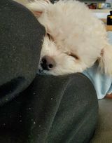 팜모닝 기타작물·자유게시판 게시글 이미지