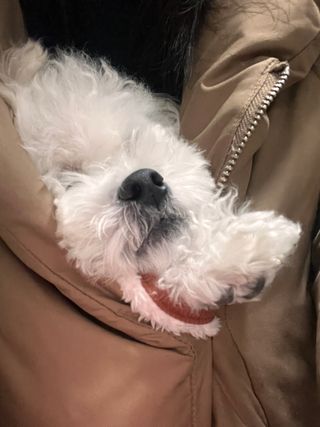 갱낸 갱얼쥐님의 기타작물 · 자유게시판 작성글 사진