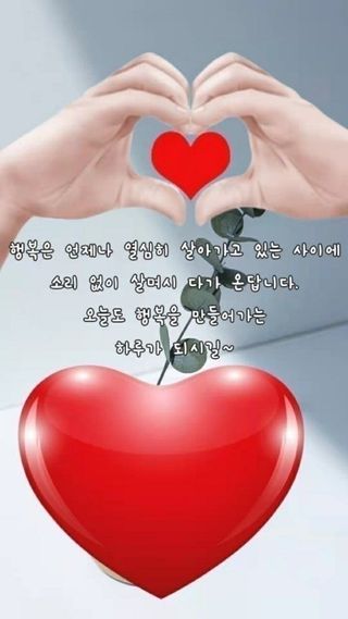 test2022101903님의 기타작물 · 자유게시판 작성글 사진