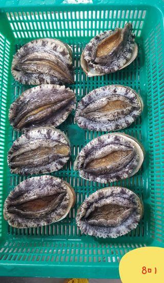 목포제주수산님의 장터 · 수산물 작성글 사진