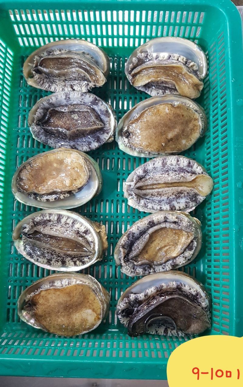 장터 상품 [완도 전복] 썸네일