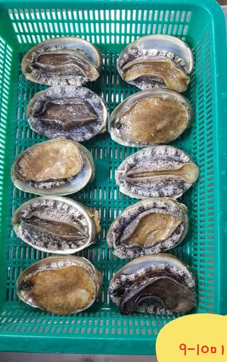 목포제주수산님의 장터 · 수산물 작성글 사진