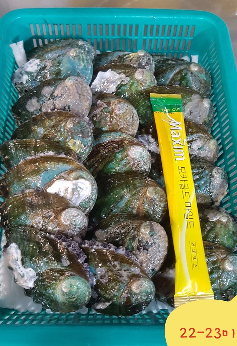 목포제주수산님의 장터 판매 상품 [완도 전복] 첨부 사진