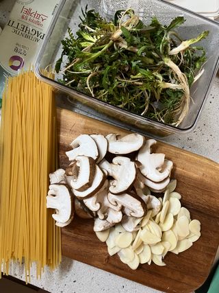 test2022101907님의 기타작물 · 자유게시판 작성글 사진