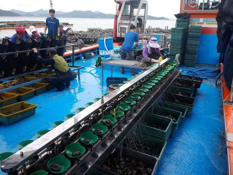 송원정님의 장터 판매 상품 [청진수산  활 전복 1kg (산지직송)] 첨부 사진