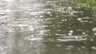 test2022101909님의 기타작물 · 자유게시판 작성글 사진