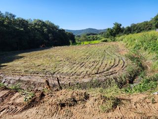 조정훈님의 기타작물 · 자유게시판 작성글 사진