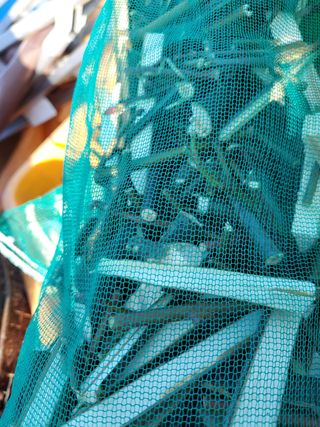 배추5999님의 작성글 사진