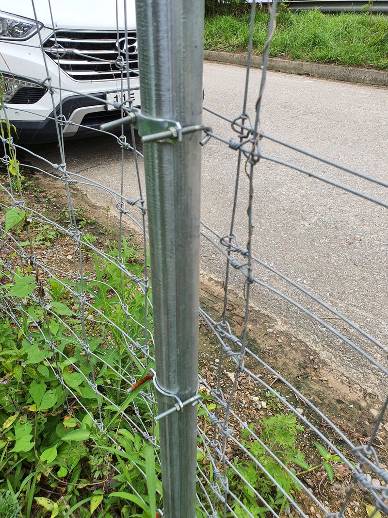 김재량  가을이야.님의 장터 판매 상품 [고라니,멧돼지 철망                     (햇빛에 터지지  않아 절대 녹이 나지않습니다.)] 첨부 사진