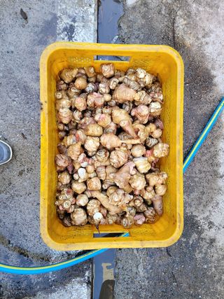독고다이님의 작성글 사진