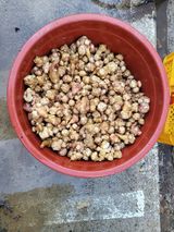 팜모닝 · 게시글 이미지