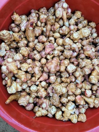 독고다이님의 작성글 사진