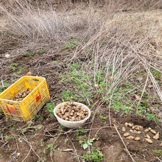 독고다이님의 작성글 사진