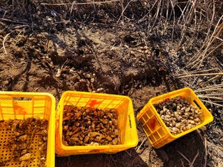 독고다이님의 작성글 사진