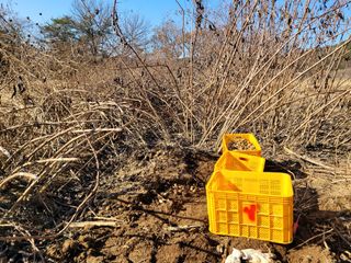독고다이님의 작성글 사진