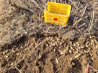 독고다이님의 작성글 사진